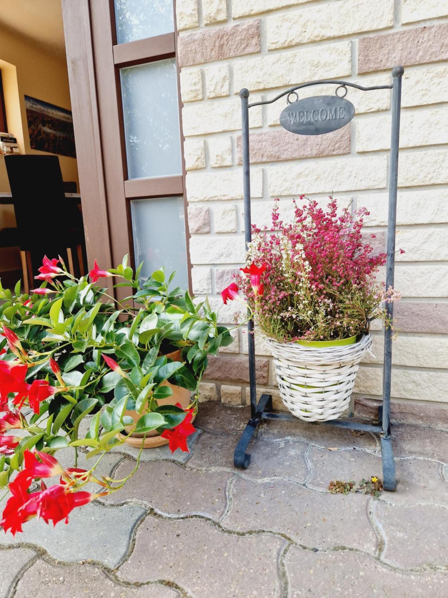 Balaton Panzio Fuered Bed & Breakfast บาลาตอนฟือเรด ภายนอก รูปภาพ